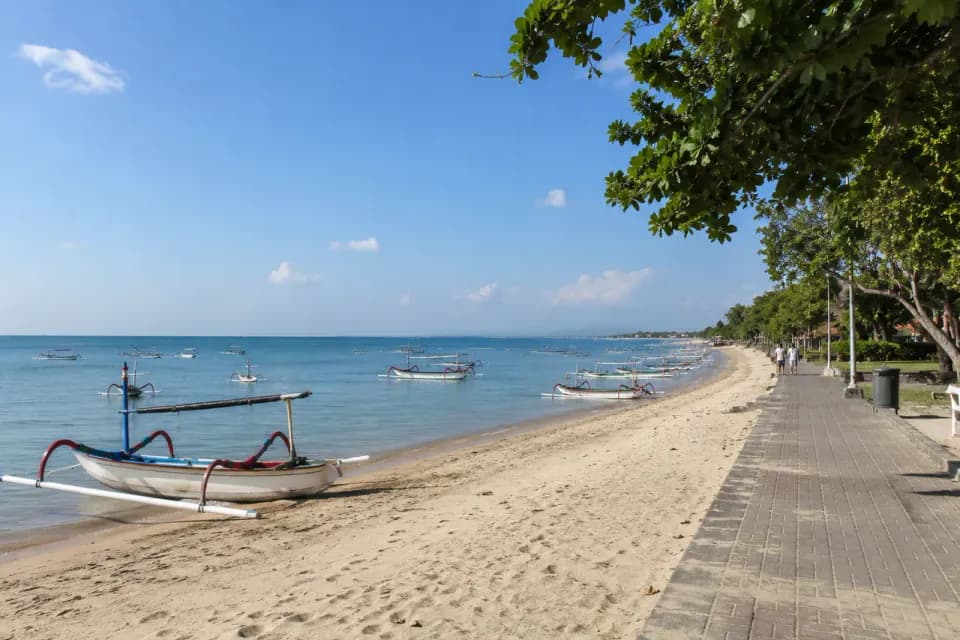 Curiosity Scenic Bali Acceptance Experience